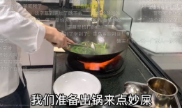 做菜视频,跟随视频教程轻松学会美味佳肴